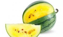 娱乐吃瓜地,吃瓜群众背后的故事