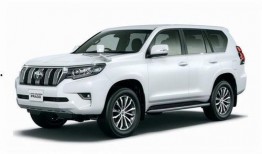 最新普拉多爆料视频大全,最新爆料视频大盘点